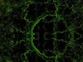 Imaginatory fractal abstract background Image