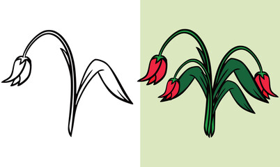 Set of withered Red Tulip flowers