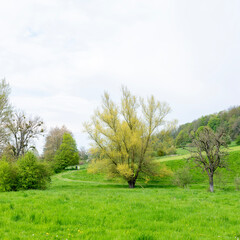 Fototapeta na wymiar gulpdal with hiking trail in spring near slenaken in south limburg