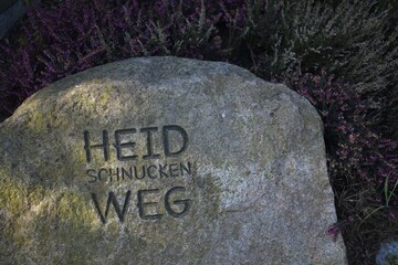 Heidschnuckenweg - Hinweis auf Stein in der Lüneburger Heide