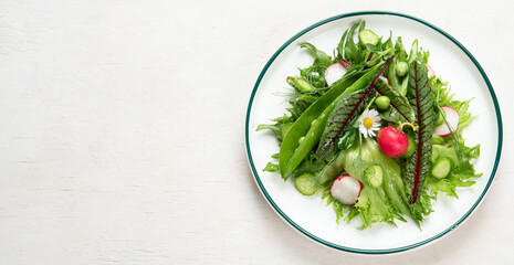 Fresh vegetarian vegetable salad with radish, cucumber and arugula, healthy food.