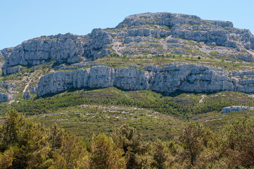 Fototapeta premium Paysage provençale