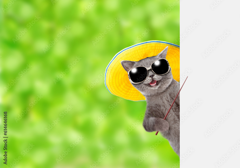 Poster funny cat wearing summer hat and sunglasses looks from behind empty white banner and points away on 