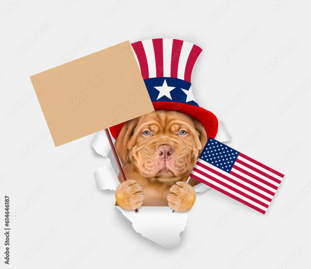 Poster serious mastiff puppy wearing like uncle sam looking through a hole in paper and shows empty placard