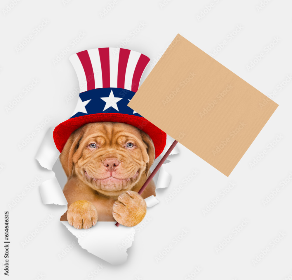 Poster smiling mastiff puppy wearing like uncle sam looking through a hole in paper and shows empty placard