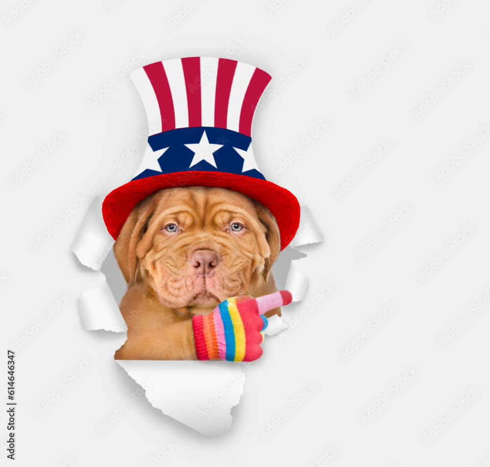 Poster serious mastiff puppy wearing like uncle sam looking through a hole in paper and points away on empt