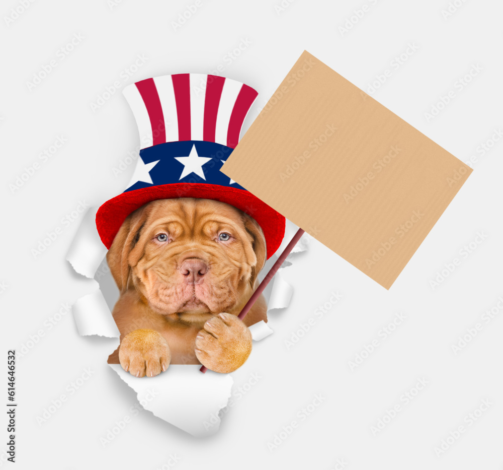 Poster serious mastiff puppy wearing like uncle sam looking through a hole in paper and shows empty placard