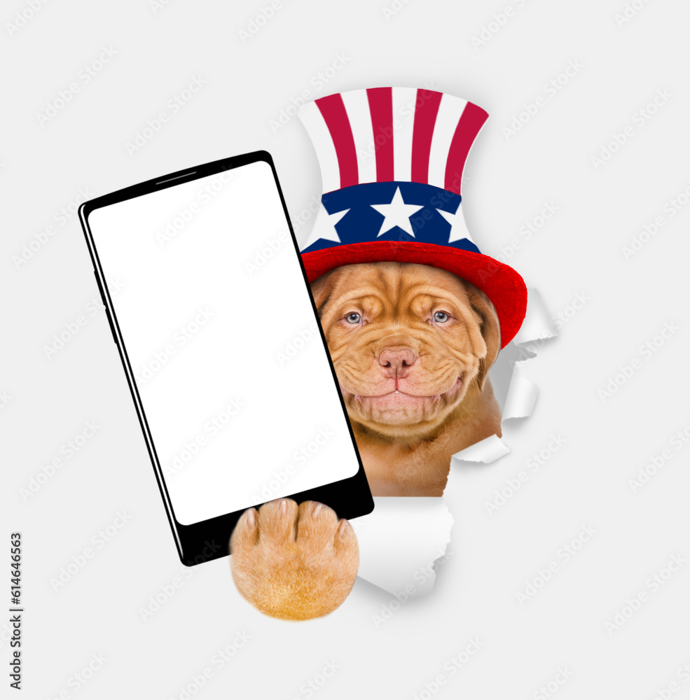 Poster happy mastiff puppy wearing like uncle sam looking through a hole in paper and showing big smartphon