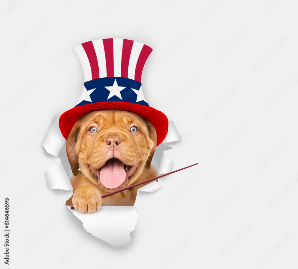 Poster happy mastiff puppy wearing like uncle sam looking through a hole in paper and points away on empty 