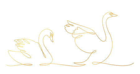 swan line art style. element vector eps 10