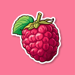 Vector raspberry sticker isolated on white. Cartoon flat style. illustration Red yammi berry with green leaves Healthy diet vegetarian eco food. Decoration for packaging, menu etc