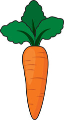 Vector Fresh Carrot vegetable organic food isolated on white background illustration for logo or cartoon healthy concept.