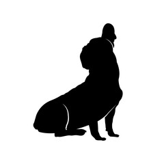 Vector illustration of a dog. French bulldog silhouette isolated on white background.