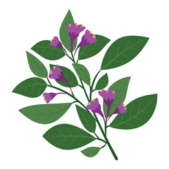 Purple and pink flowers floral branch, twig. Beautiful delicate fluffy blooms, blossomed herb, gentle wildflower.
