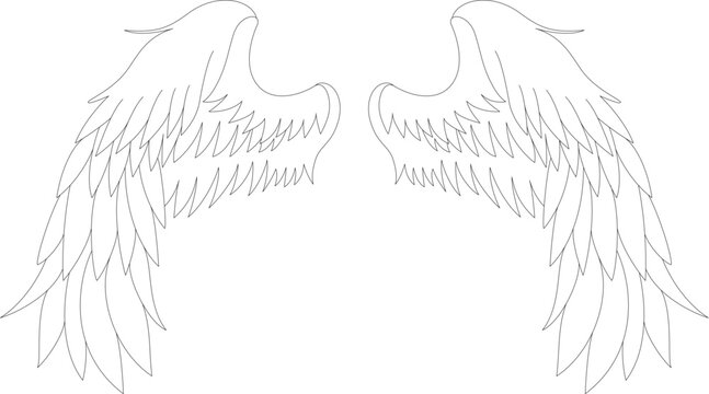 翼のイラスト Wing illustration