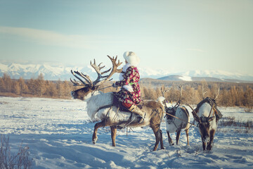 A Mongolian ethnic woman in traditional dress riding a deer with beautiful horns.