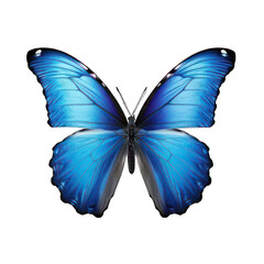 Blue butterfly isolated on white created with Generative AI