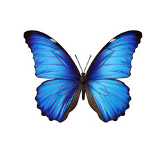 Blue butterfly isolated on white created with Generative AI