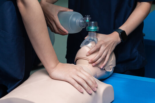 skills trainer for adult airway management trainer, realistic practice is the key to developing proficiency in airway management	