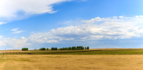 Fototapeta na wymiar panoramic view of the endless meadow and blue sky. Travel or travel concept. Mongolian meadows and clear skies