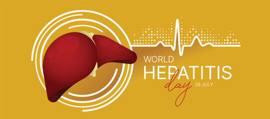 World Hepatitis Day - Liver on white circle rign sign with line heart rhythm wave and dot texture on yellow background vector design