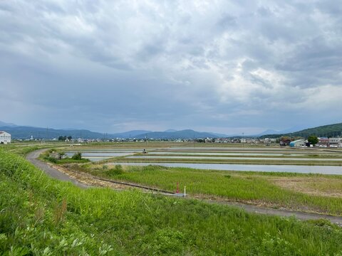 landscape with fields