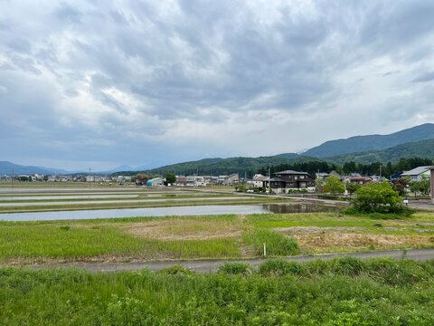 landscape with fields