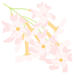 Minimal cute pink flower bunch bouquet clipart for card invitation decoration