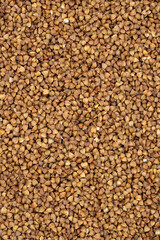 Pile of buckwheat grains as background, spice or seasoning as background. close-up buckwheat