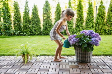 Cute little girl 4-5 years old watering hydrangea flowers from a watering can in the garden. © Anna Lurye