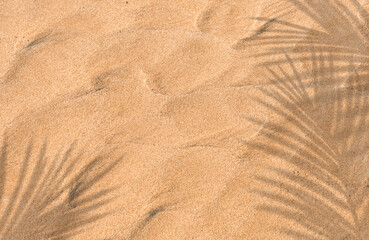 Sand Beach Texture Background with Coconut Palm leaves Shadow and sunlight,Nature Sea Beach Sandy with tropical leaf overlay,Top view Desert sand done,Banner for Summer vacation holiday concept © Anchalee