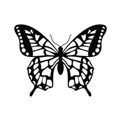 butterfly on white background