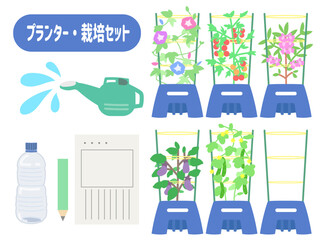 プランター栽培