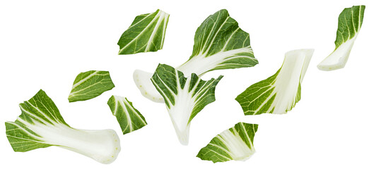 Bok Choy isolated on white background, chopped Chinese cabbage