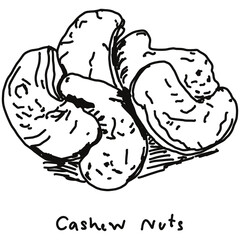 cashew nuts doodle drawing, line draw of fruit and food