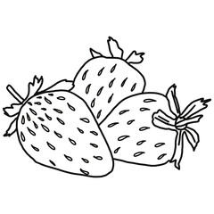 Strawberries doodle drawing, line draw of fruit and food