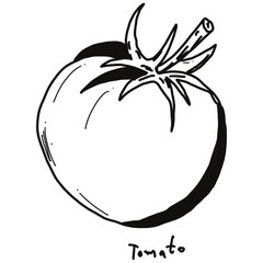 tomato drawing cartoon, tomato for cooking and food