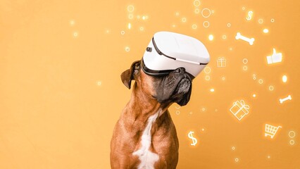 Boxer dog in VR glasses against online shopping symbols