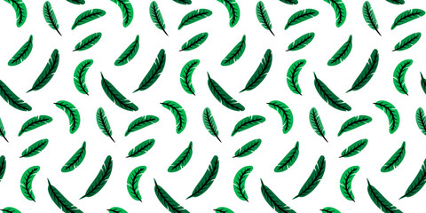 Summer seamless pattern with green feathers on a white background. Pattern for textiles, wrapping paper, backgrounds, wallpapers, decor