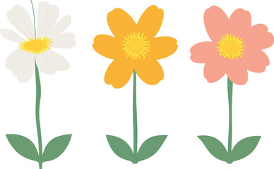 flower, vector, plant, illustration, leaf, design, bloom
