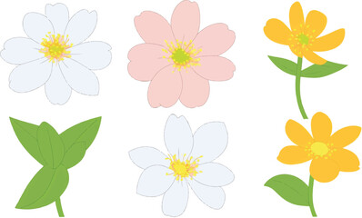 flower, vector, plant, illustration, leaf, design, bloom