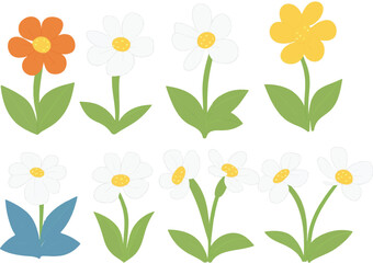 flower, vector, plant, illustration, leaf, design, bloom