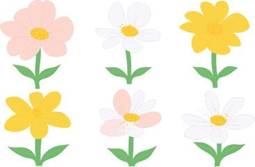 flower, vector, plant, illustration, leaf, design, bloom