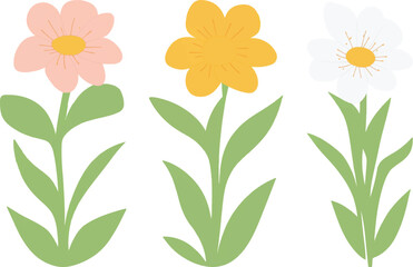 flower, vector, plant, illustration, leaf, design, bloom