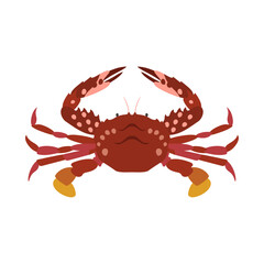 アカイシガニ。フラットなベクターイラスト。
Soldier swimming crab. Flat designed vector illustration.