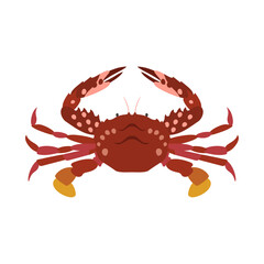 アカイシガニ。フラットなベクターイラスト。
Soldier swimming crab. Flat designed vector illustration.