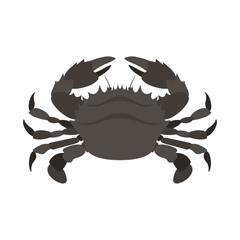 イシガニ。フラットなベクターイラスト。
Shore swimming crab. Flat designed vector illustration.