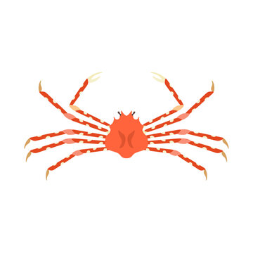 タカアシガニ Images – Browse 131 Stock Photos, Vectors, and
