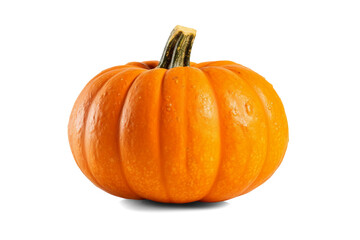 Pumpkin isolated on transparent or white background, png