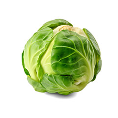 Fototapeta premium Brussel sprout isolated on transparent or white background, png